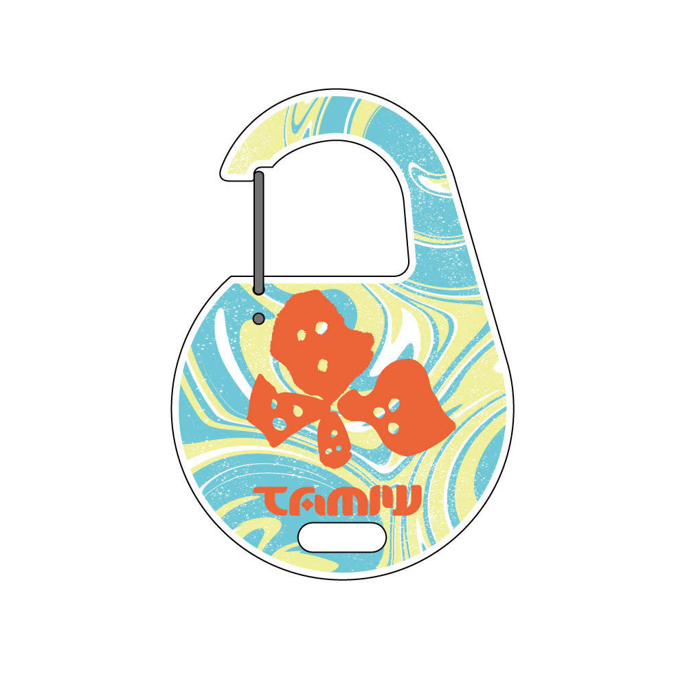 Carabiner Keychain
